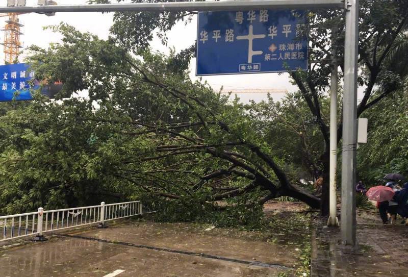 “天鴿”過(guò)境，倒下的何止是樹(shù)，還有弱不禁風(fēng)的劣質(zhì)產(chǎn)品