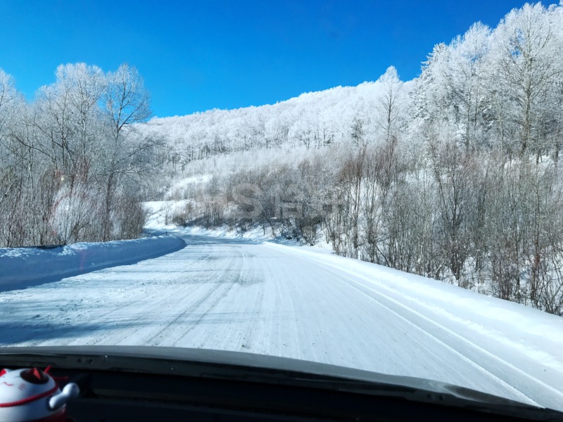 2018年的第一場雪，在北國雪山的恰好時綠卻生機盎然！